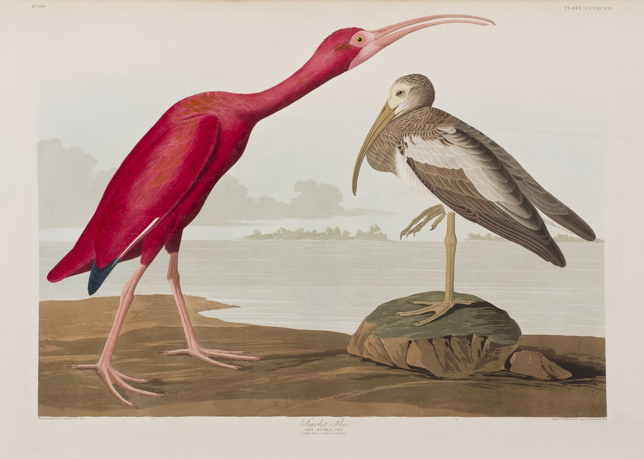 Ilustración de 