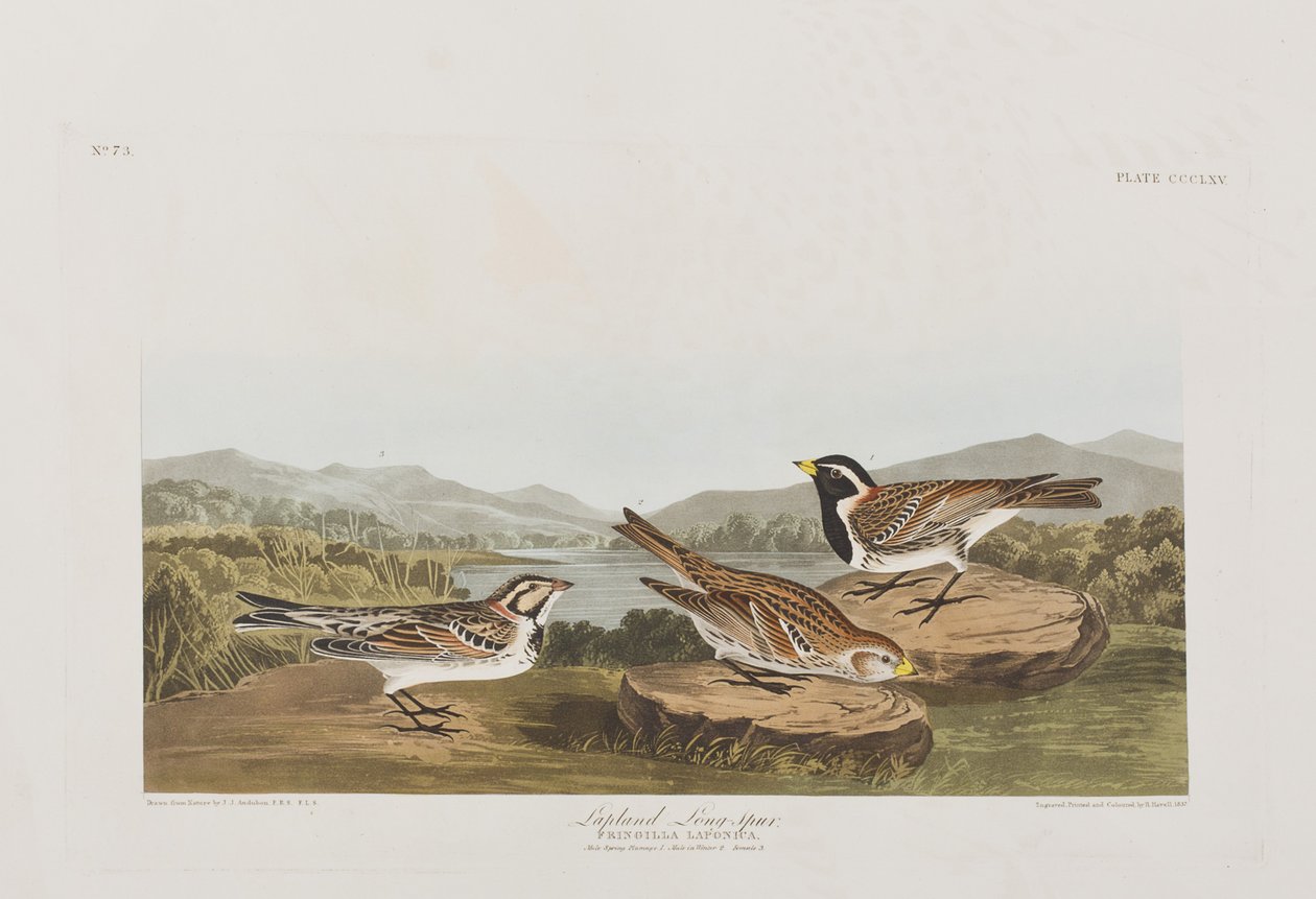 Ilustración de 