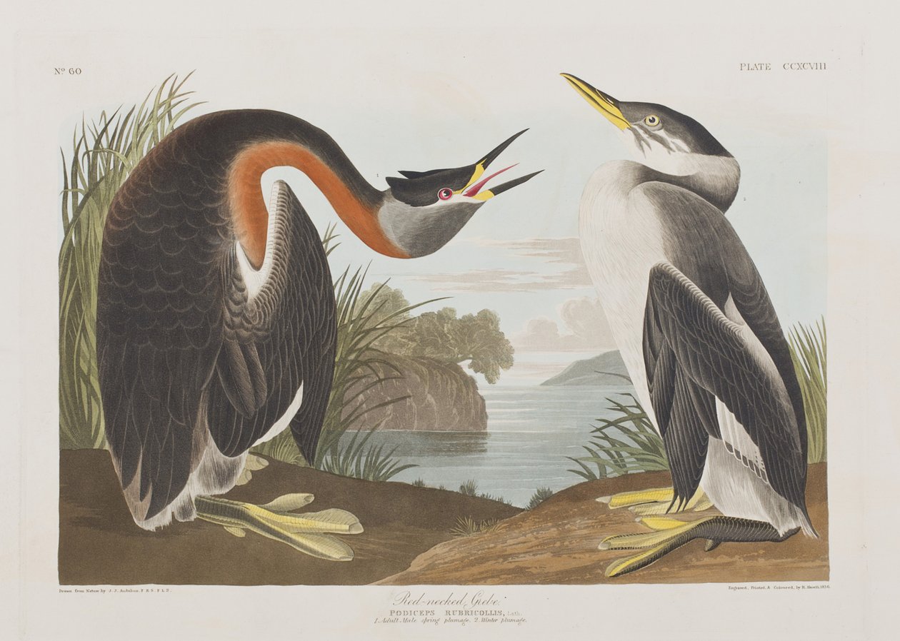 Ilustración de 