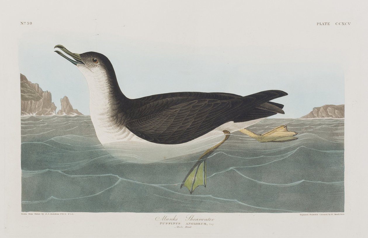 Ilustración de 