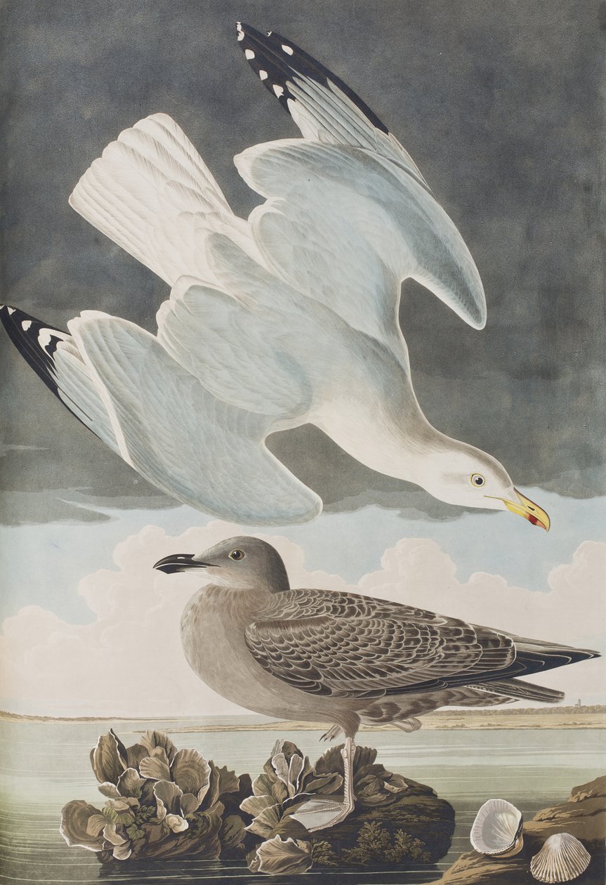 Ilustración de 