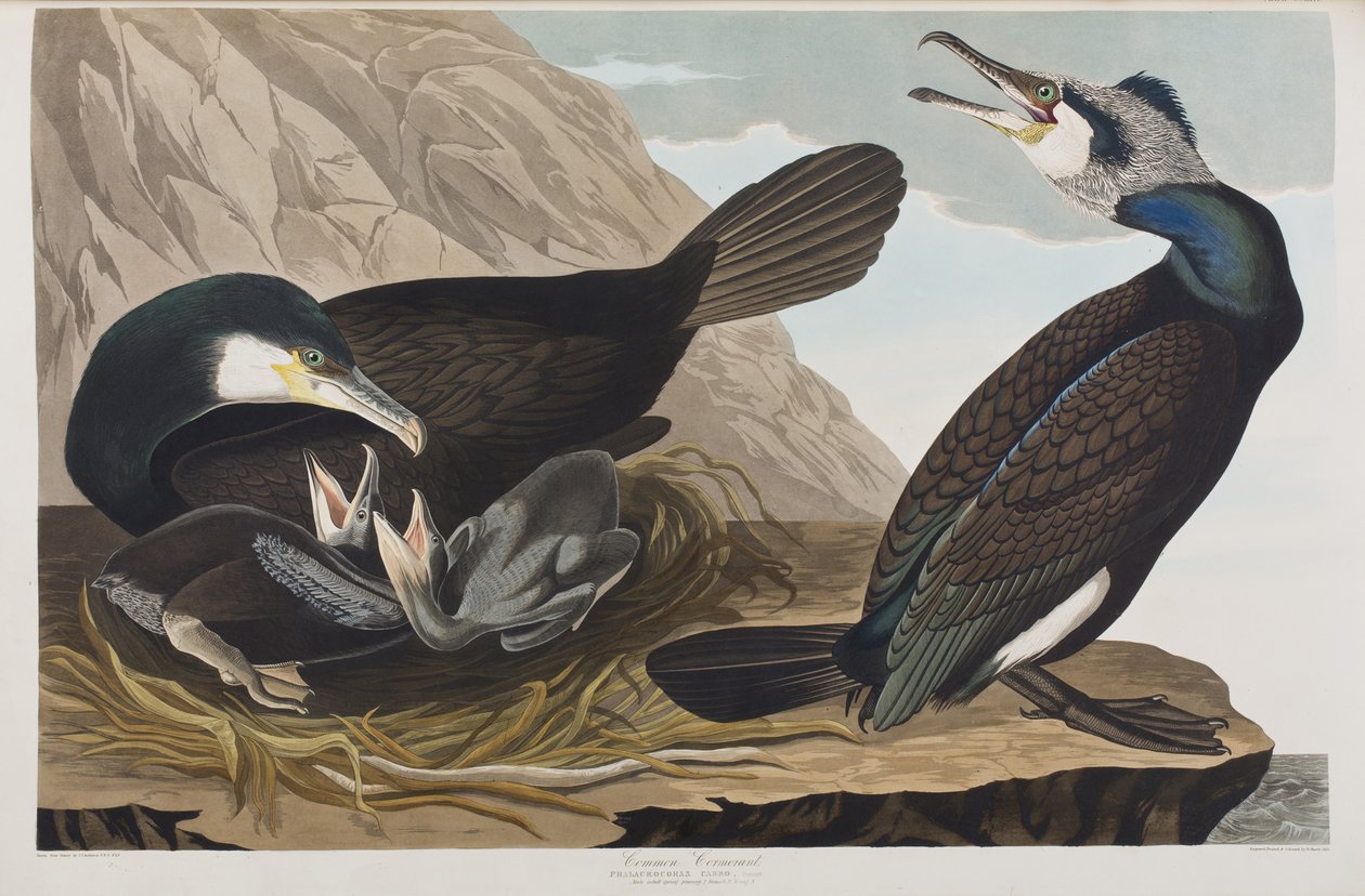 Ilustración de 