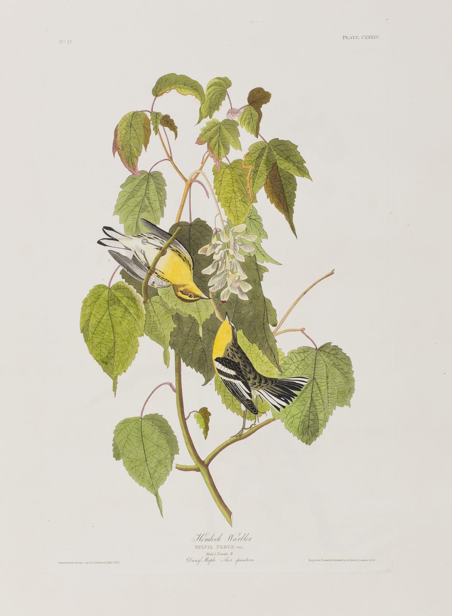 Ilustración de 