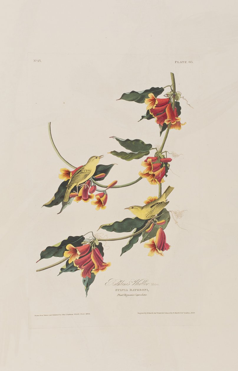 Ilustración de 
