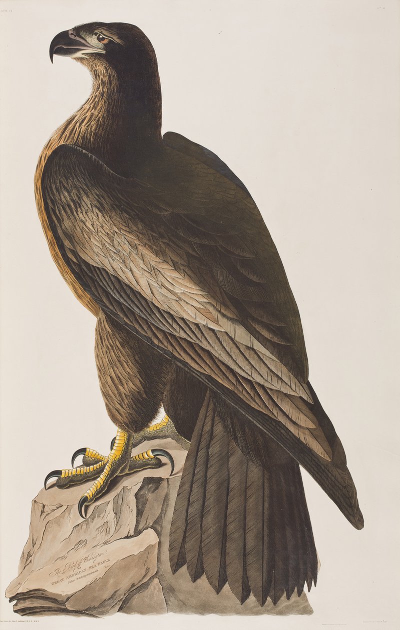 Ilustración de 