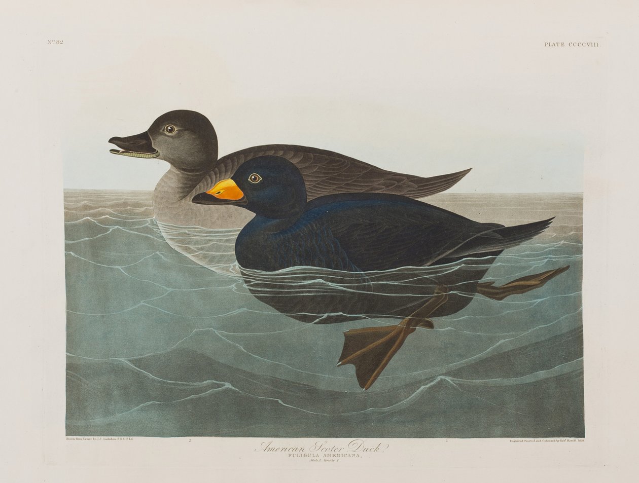 Ilustración de 