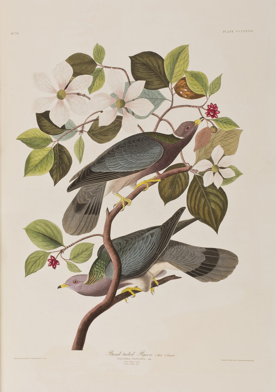 Ilustración de 