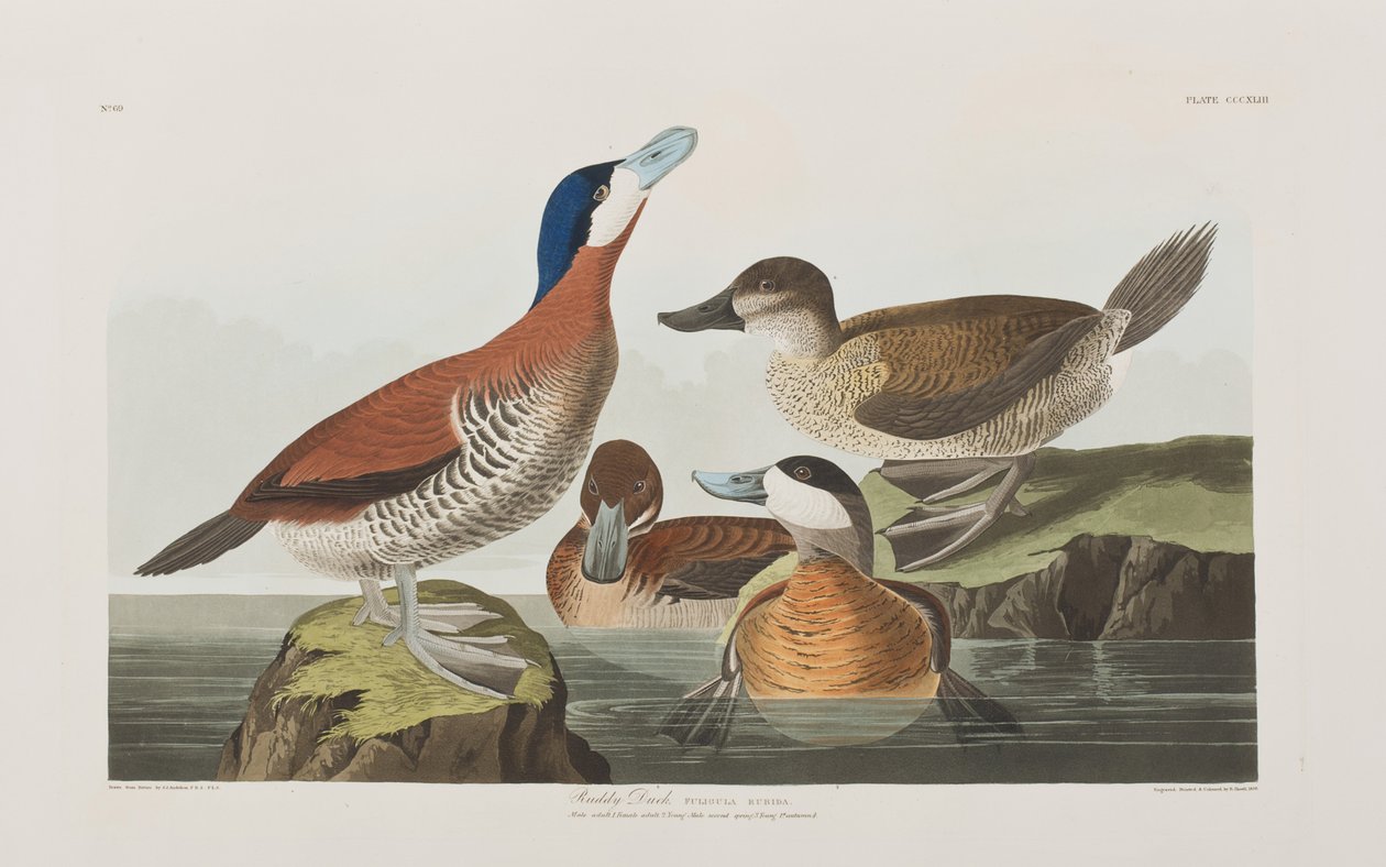 Ilustración de 