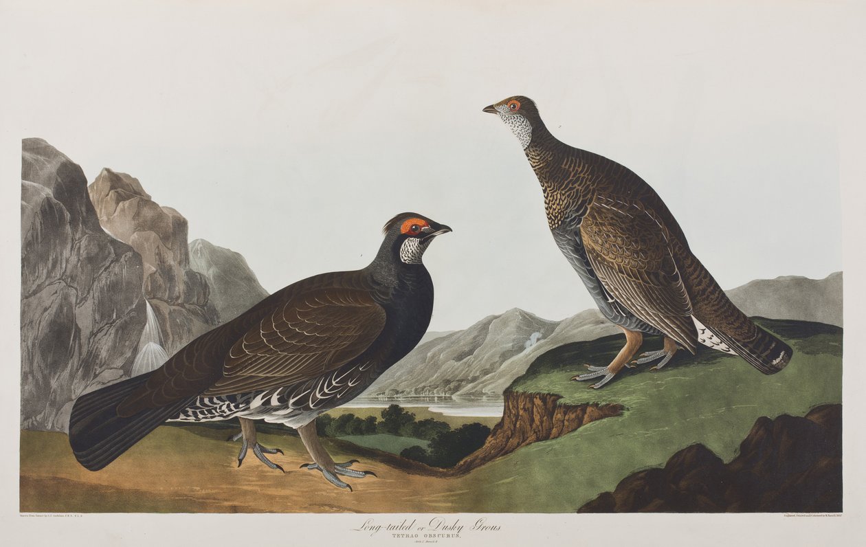 Ilustración de 