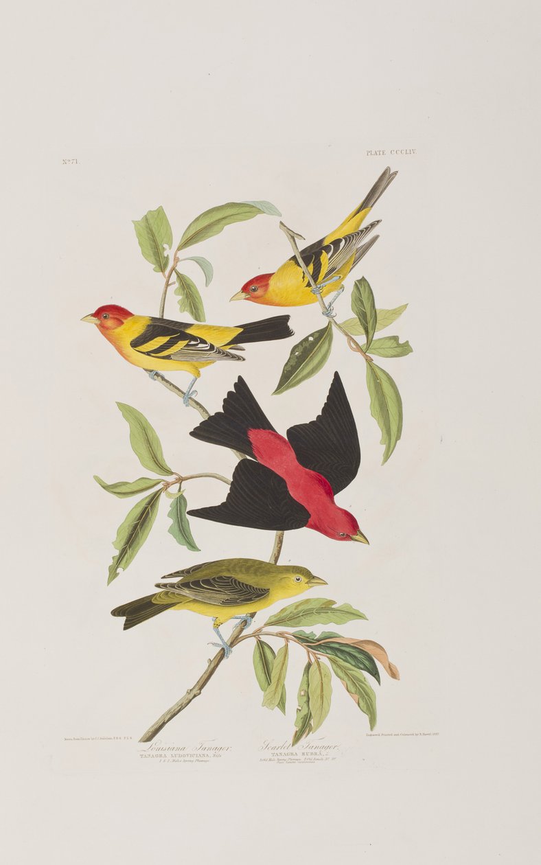 Ilustración de 