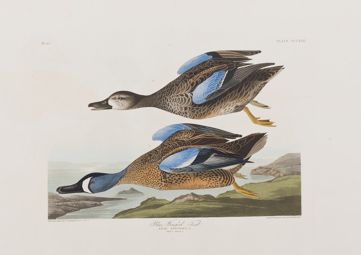 Ilustración de 