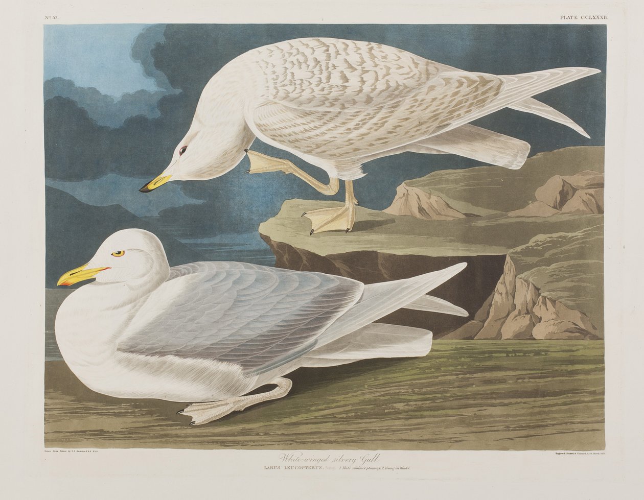 Ilustración de 