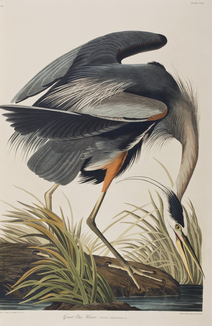Ilustración de 