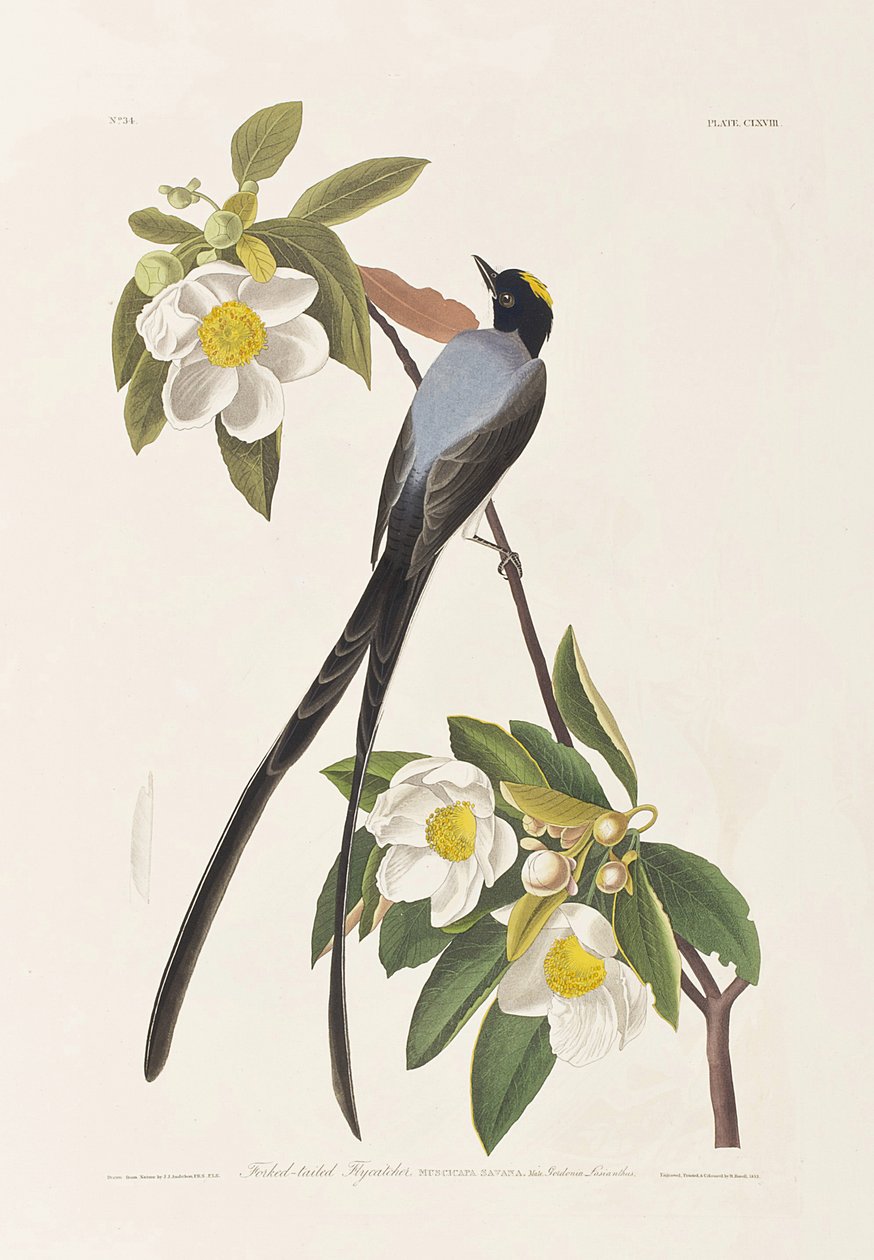 Ilustración de 