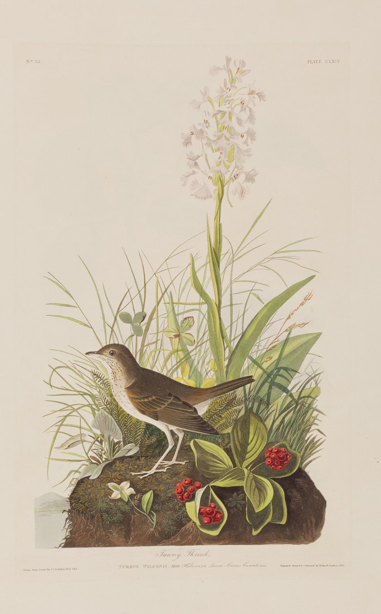 Ilustración de 