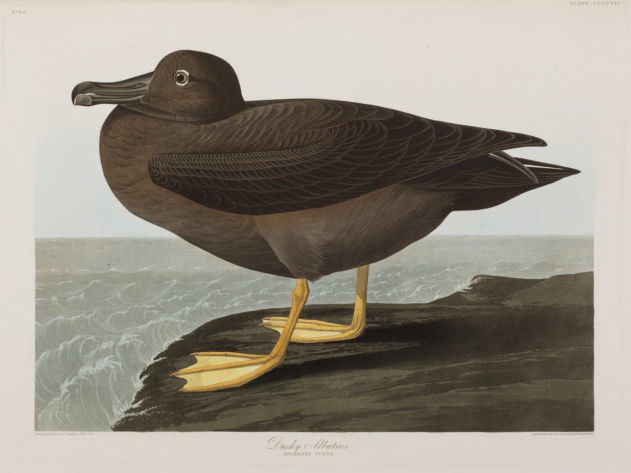 Ilustración de 