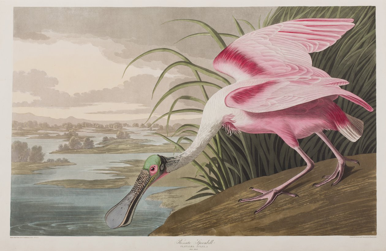 Ilustración de 
