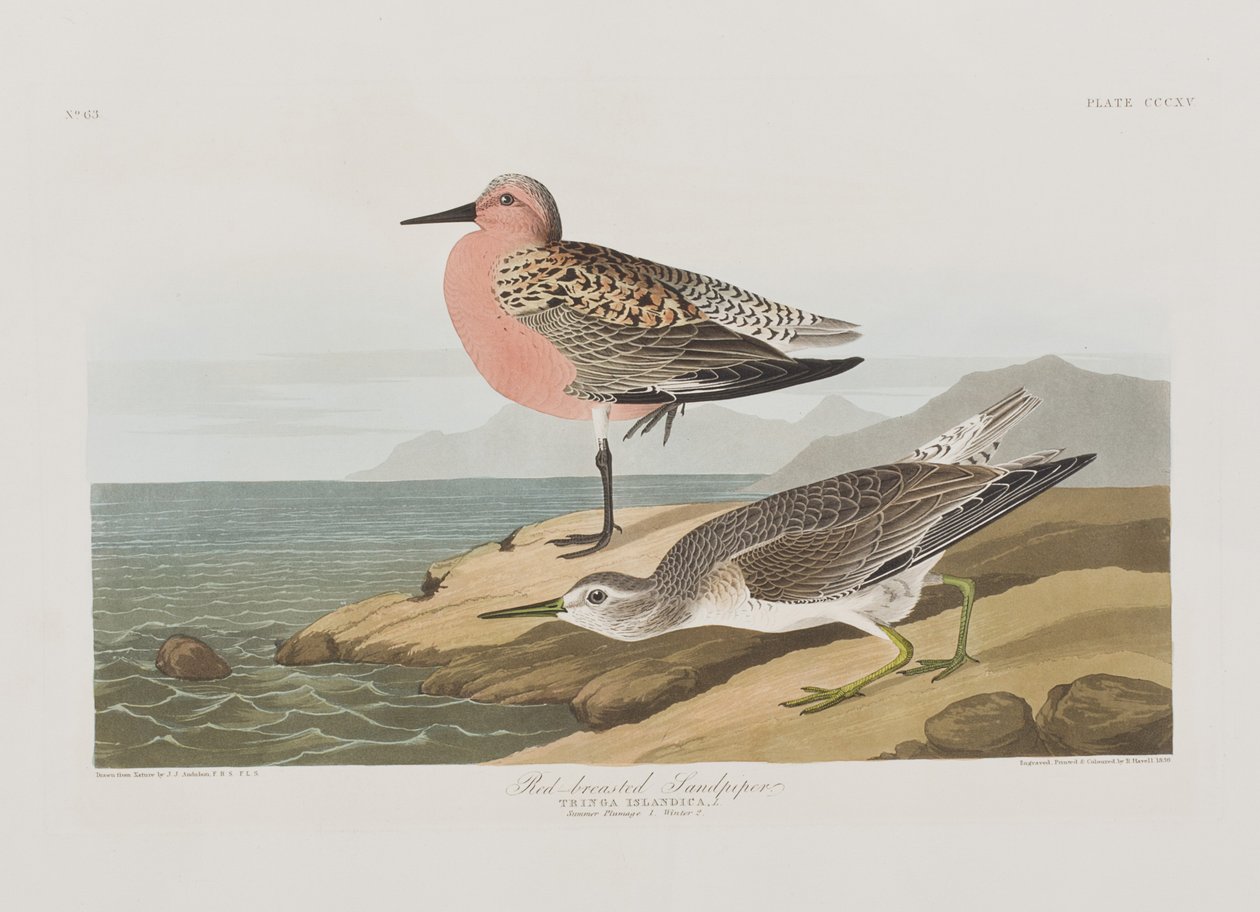 Ilustración de 