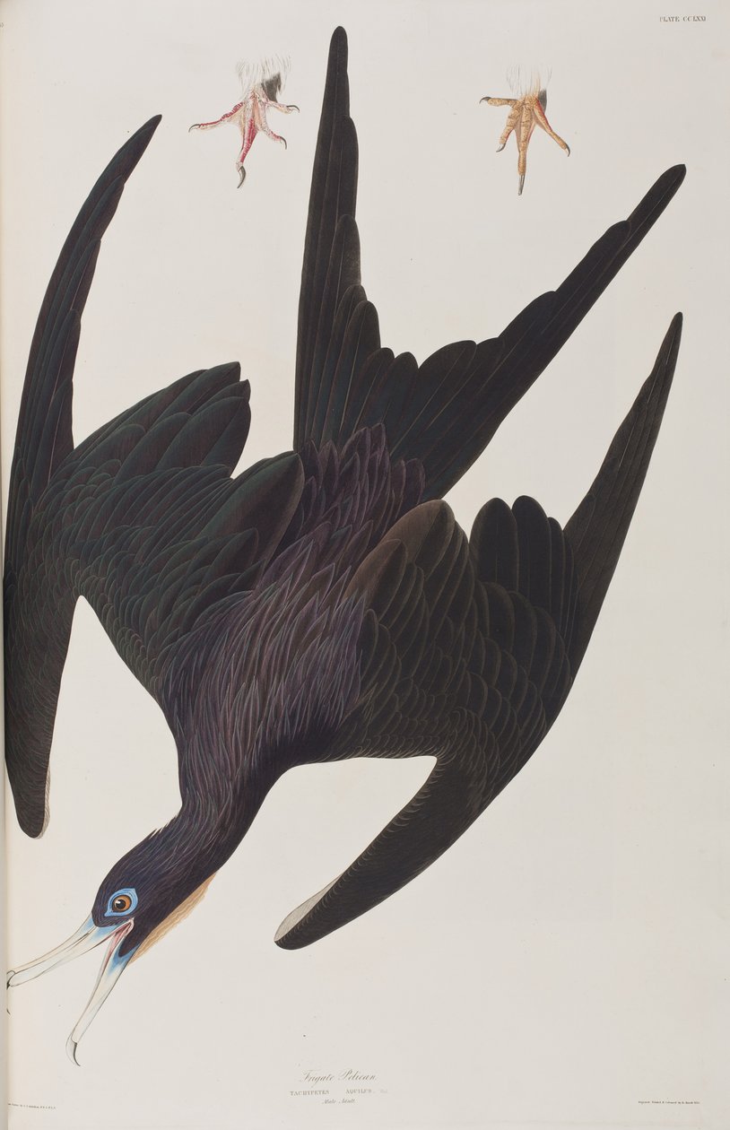 Ilustración de 