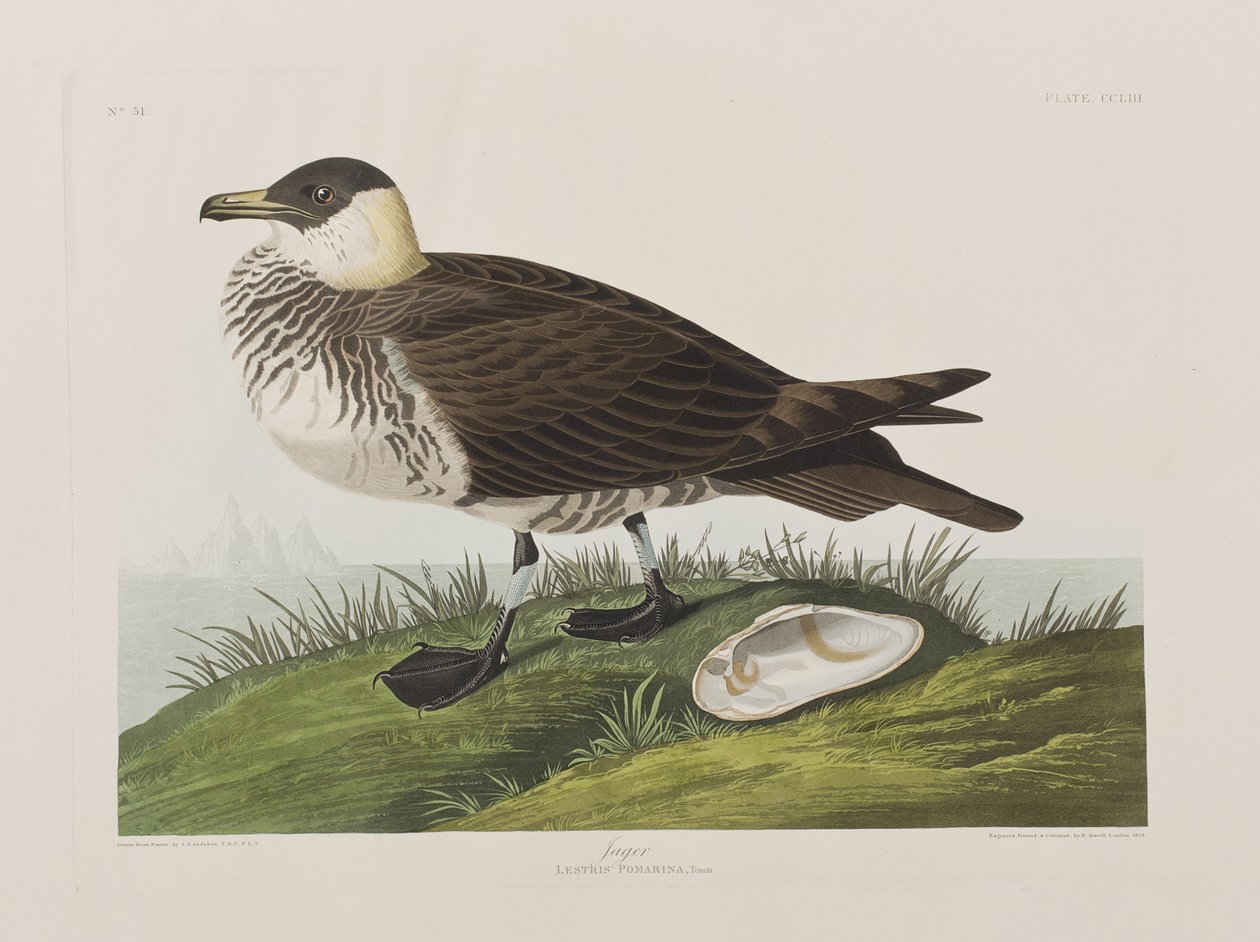 Ilustración de 