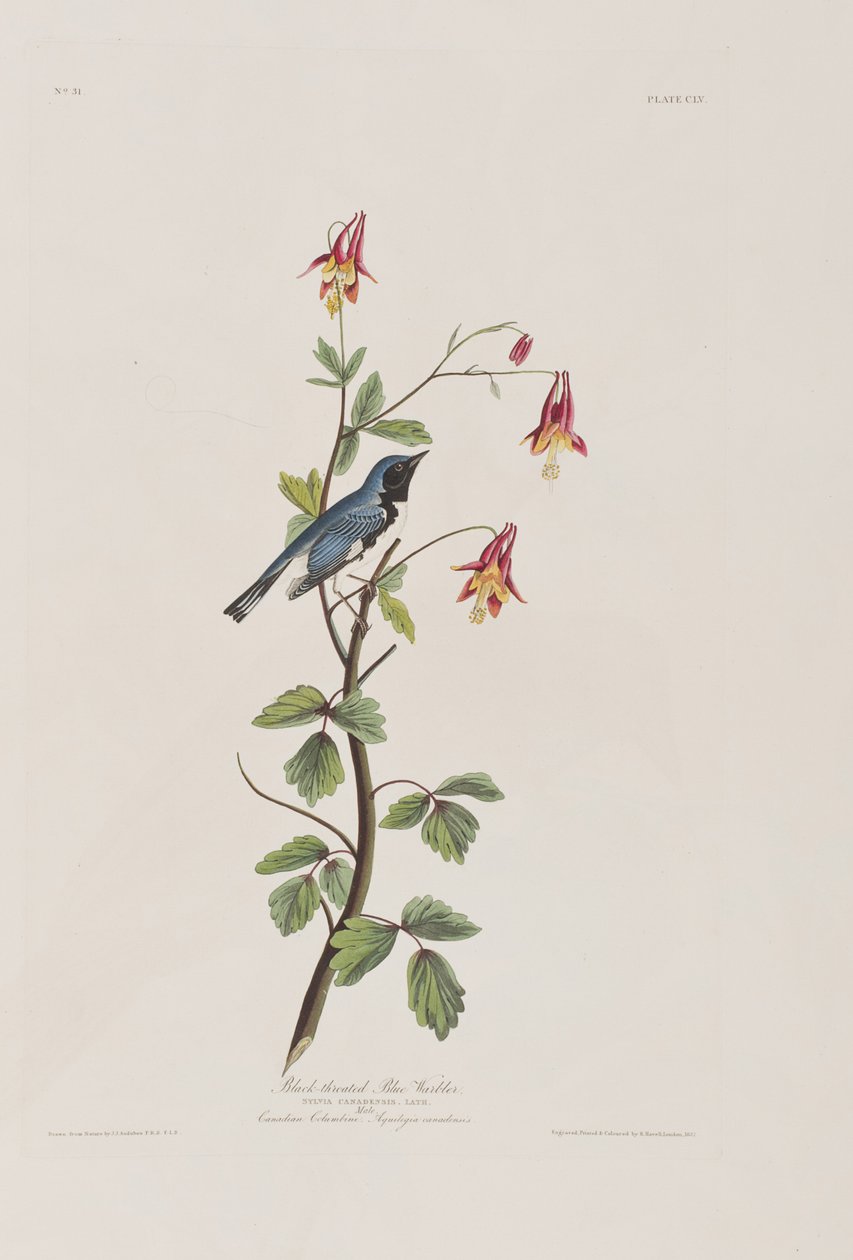 Ilustración de 