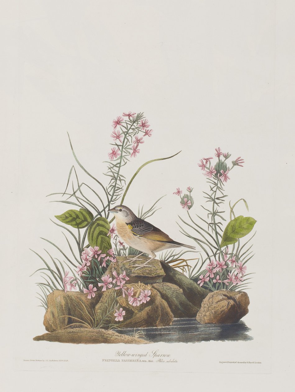 Ilustración de 