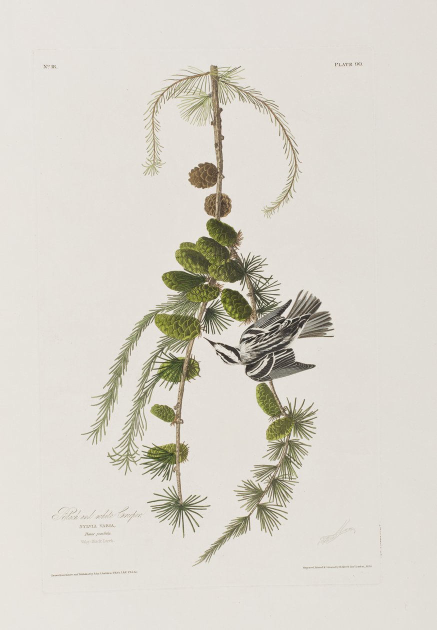 Ilustración de 