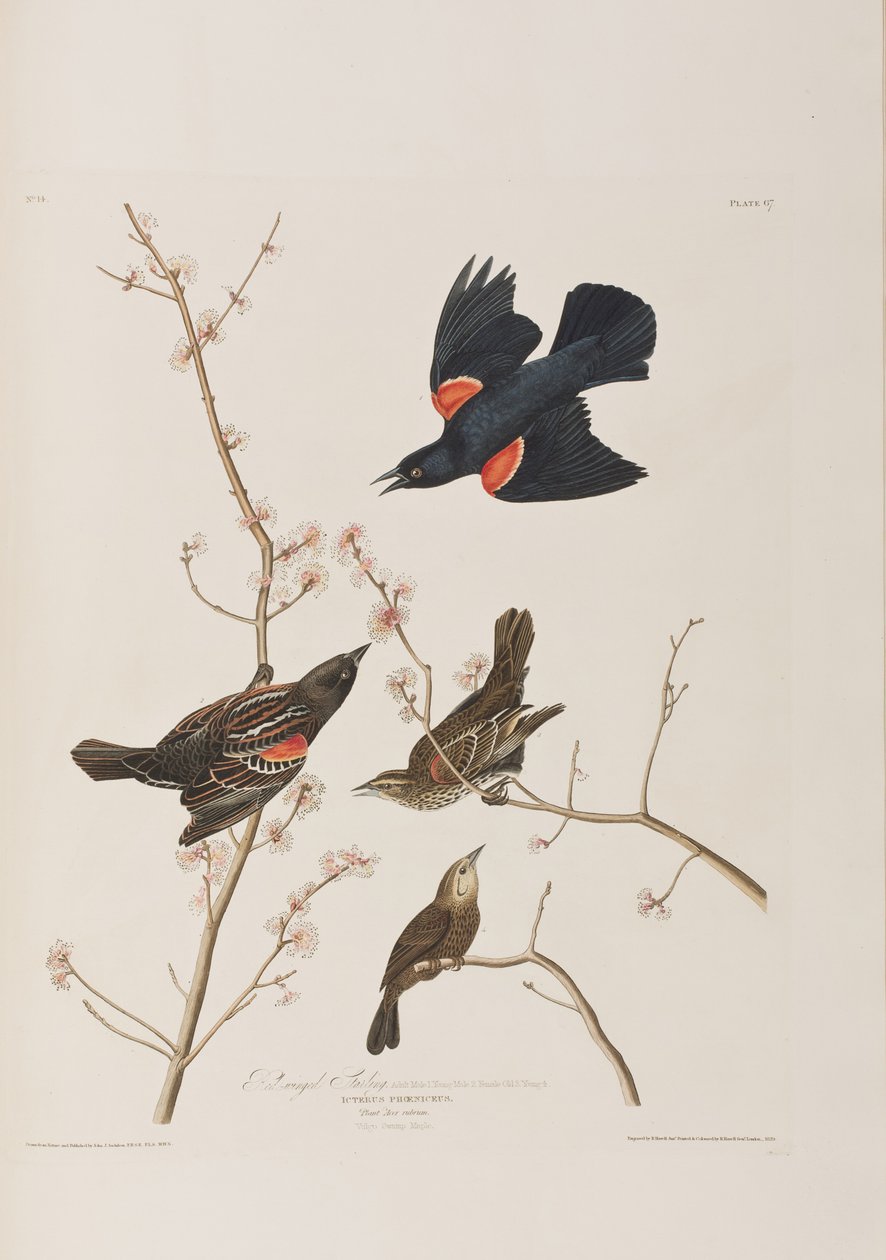 Ilustración de 