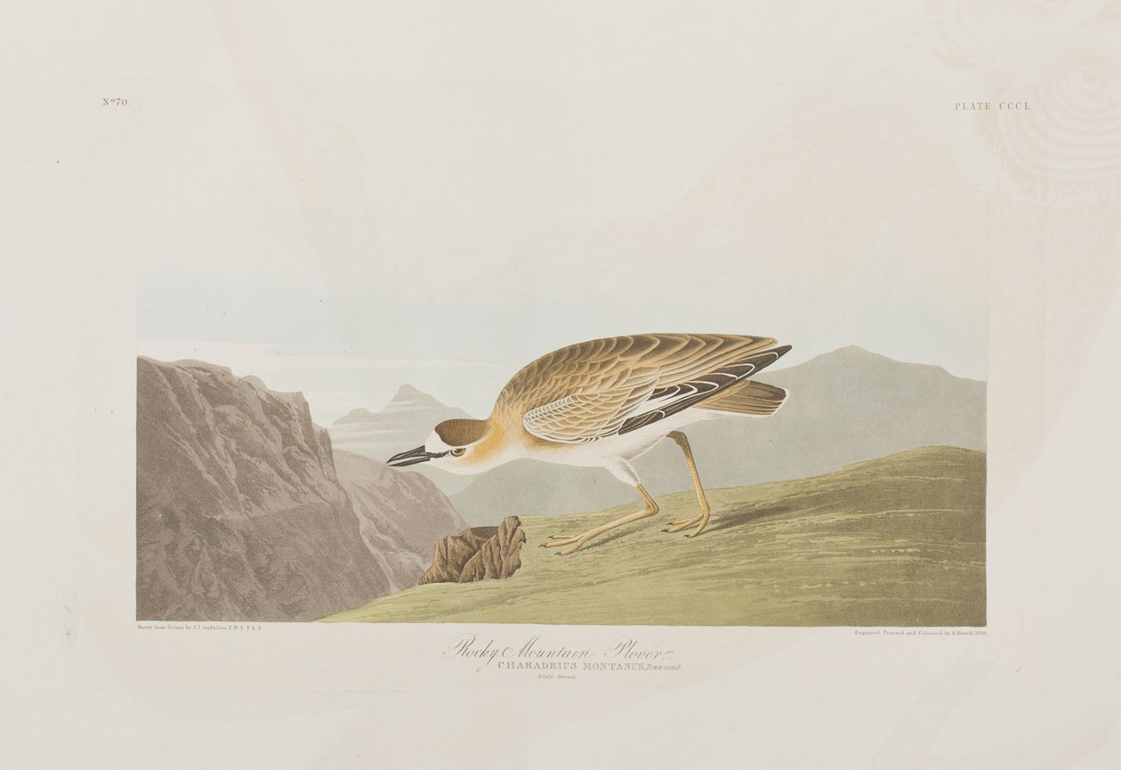 Ilustración de 