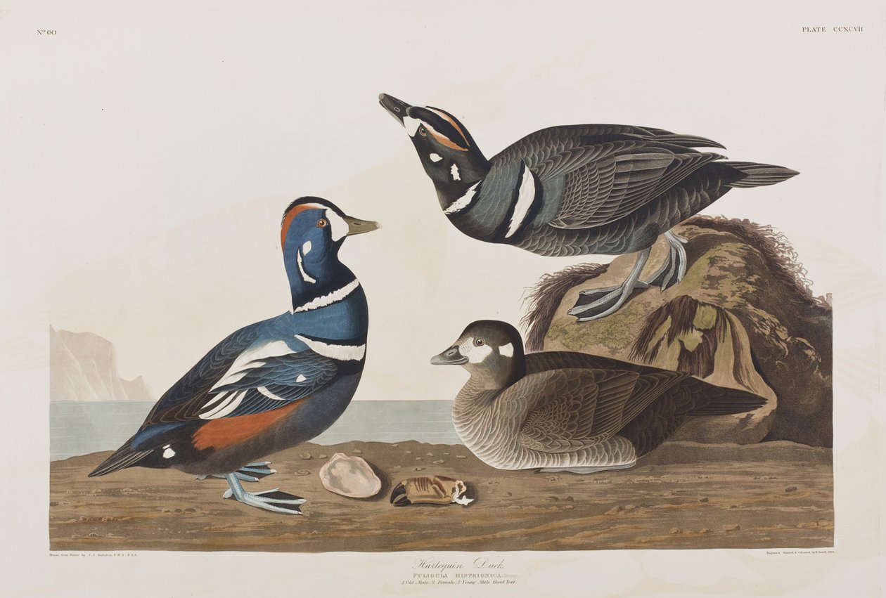 Ilustración de 