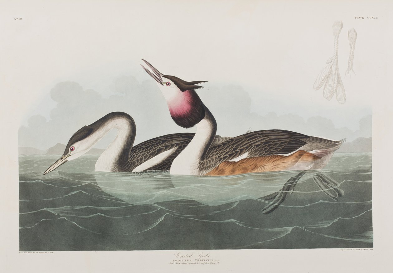 Ilustración de 