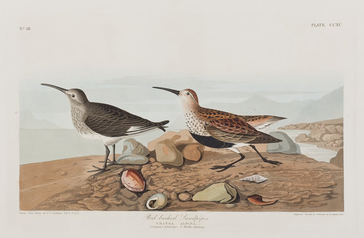 Ilustración de 