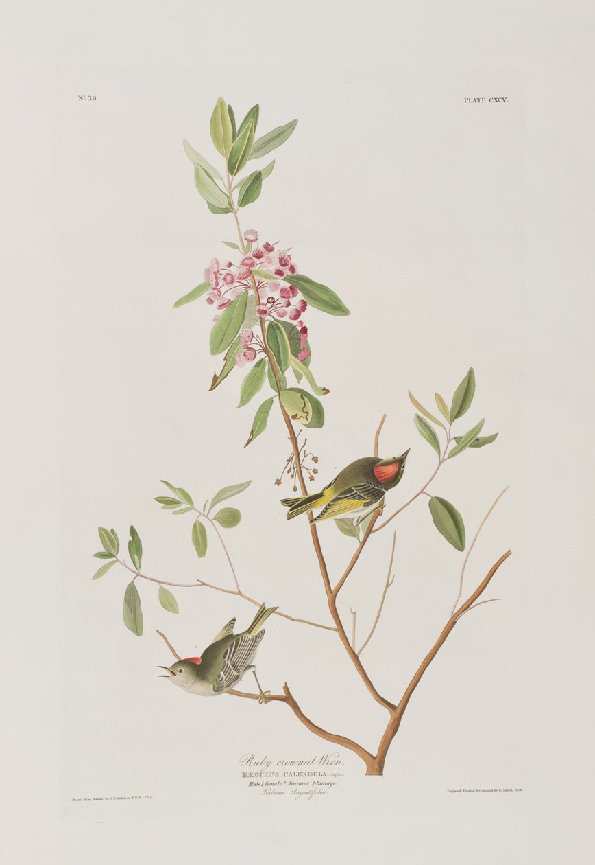 Ilustración de 