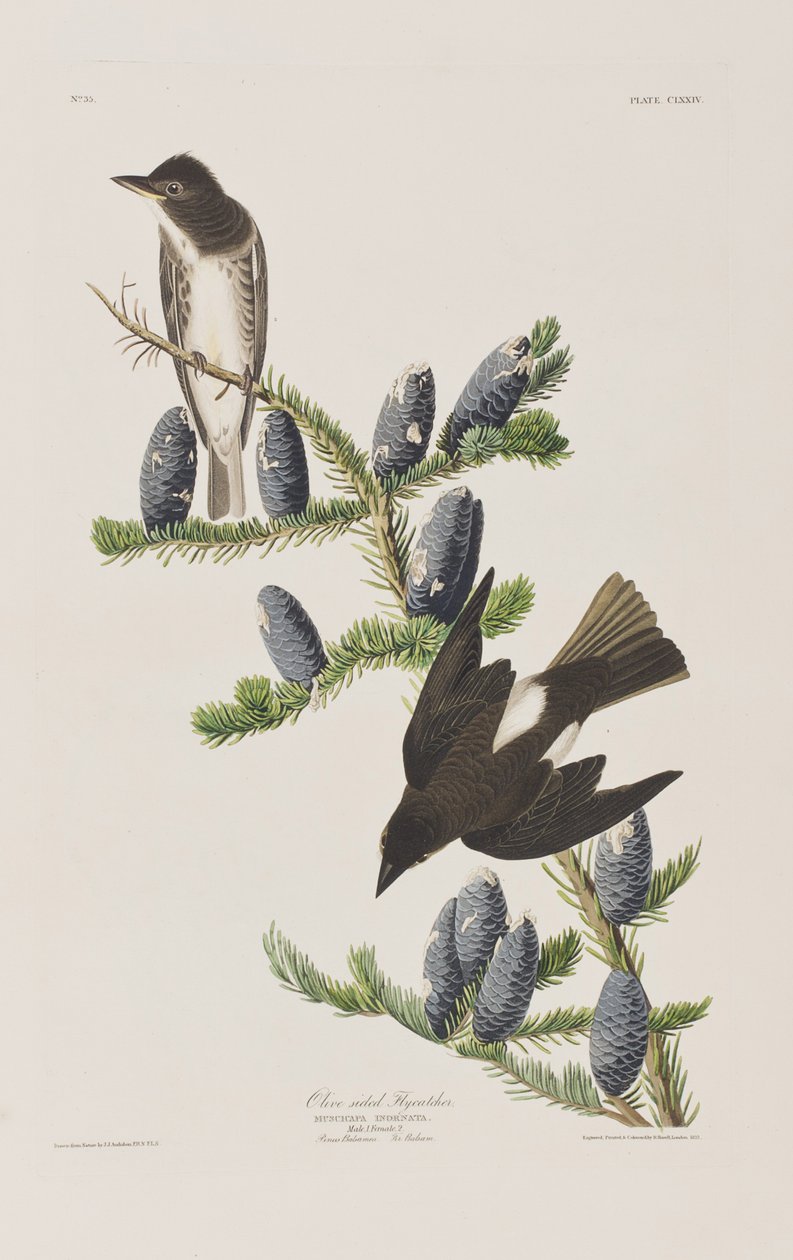 Ilustración de 