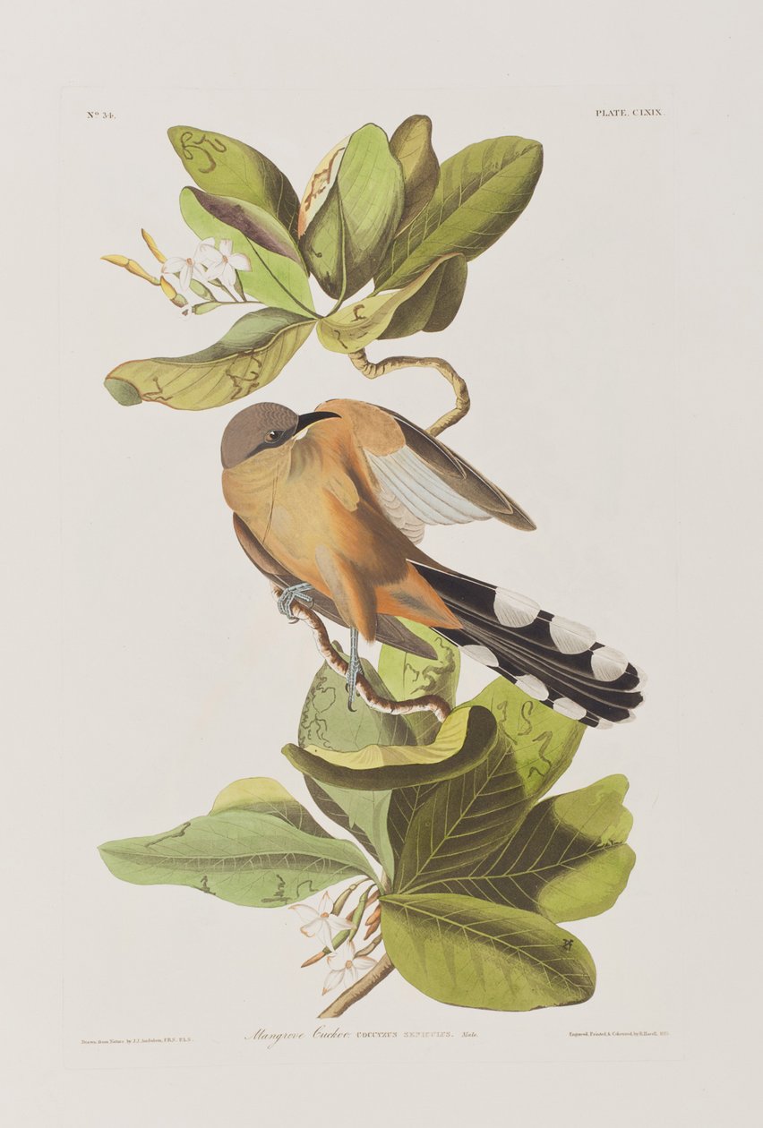 Ilustración de 