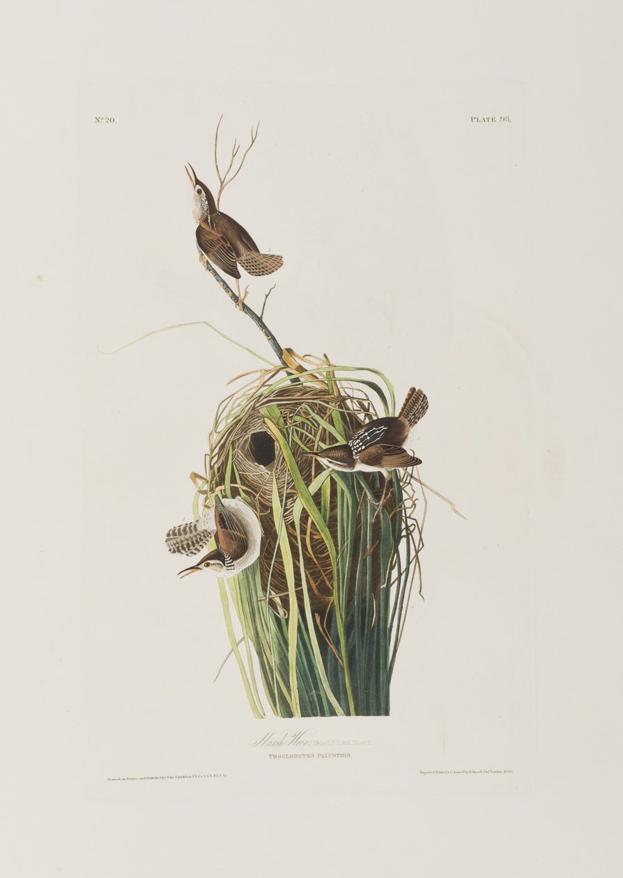 Ilustración de 