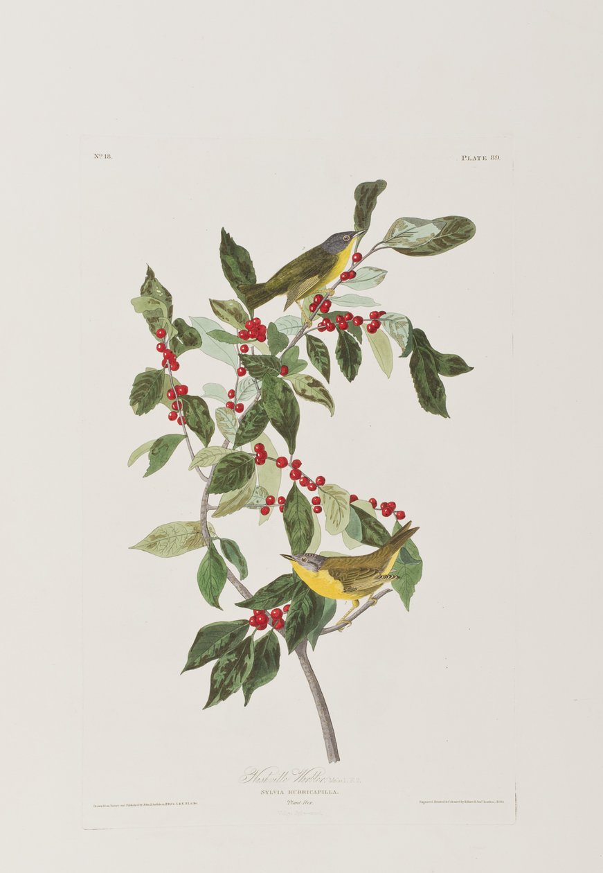 Ilustración de 