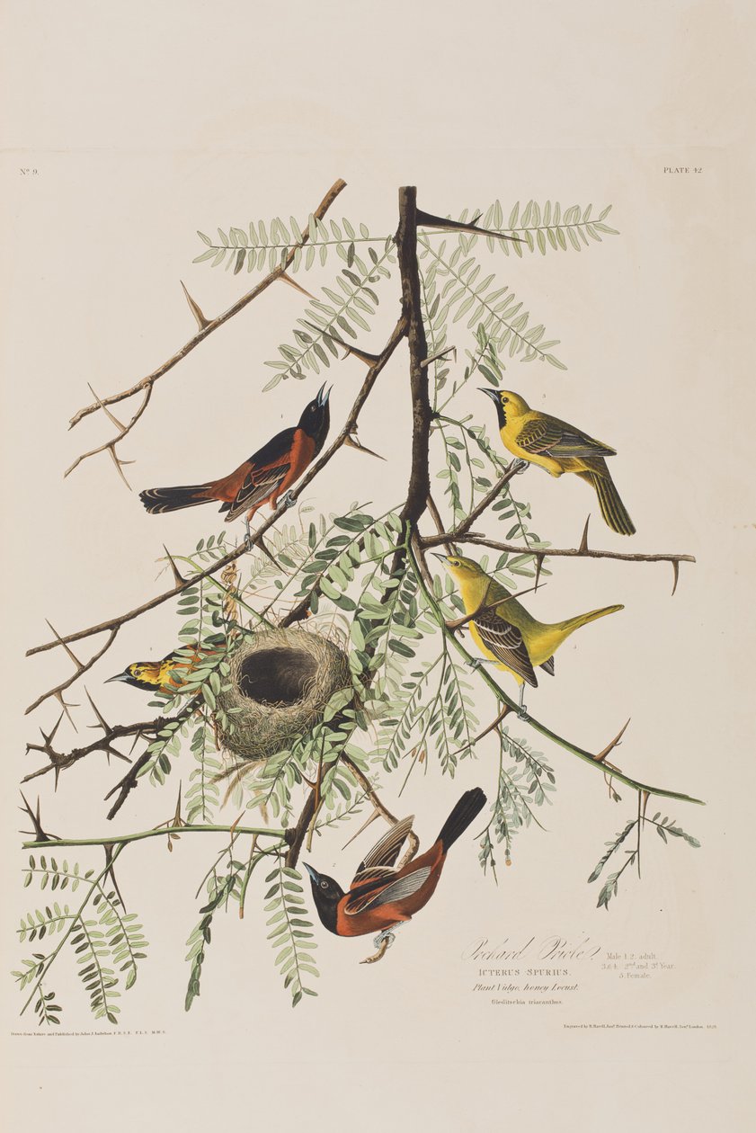 Ilustración de 