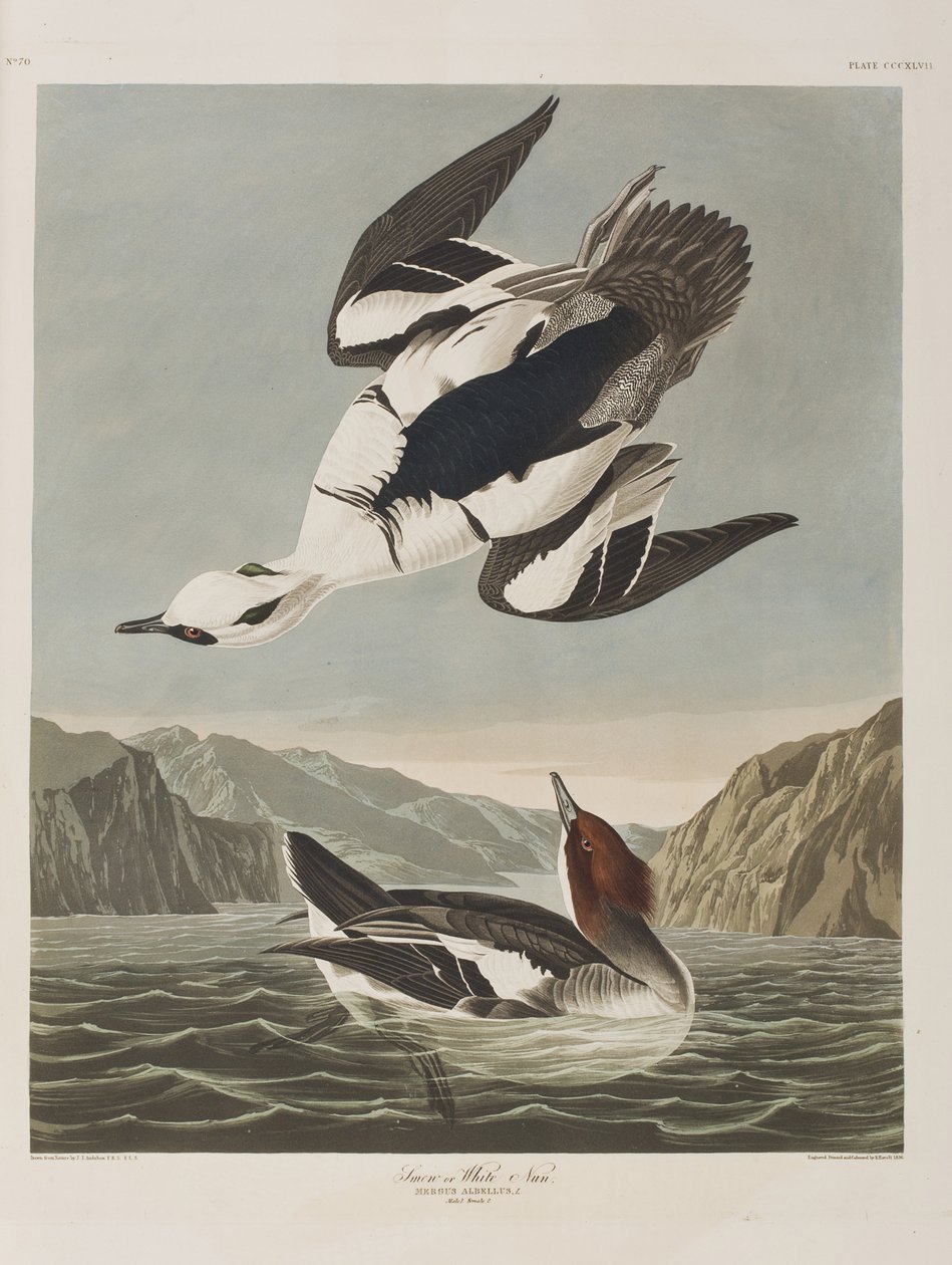 Ilustración de 
