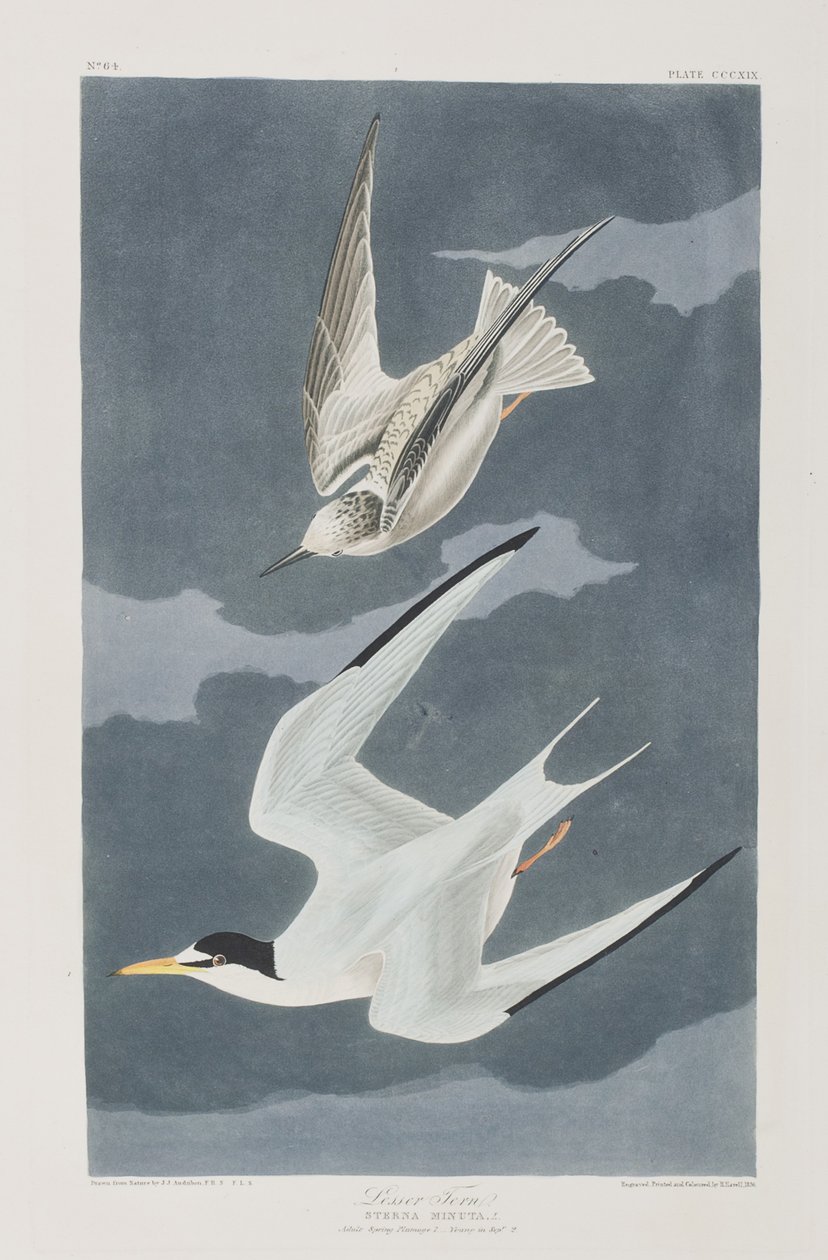 Ilustración de 
