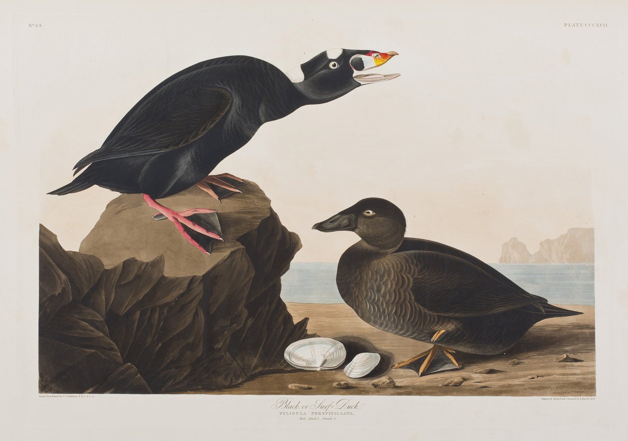 Ilustración de 