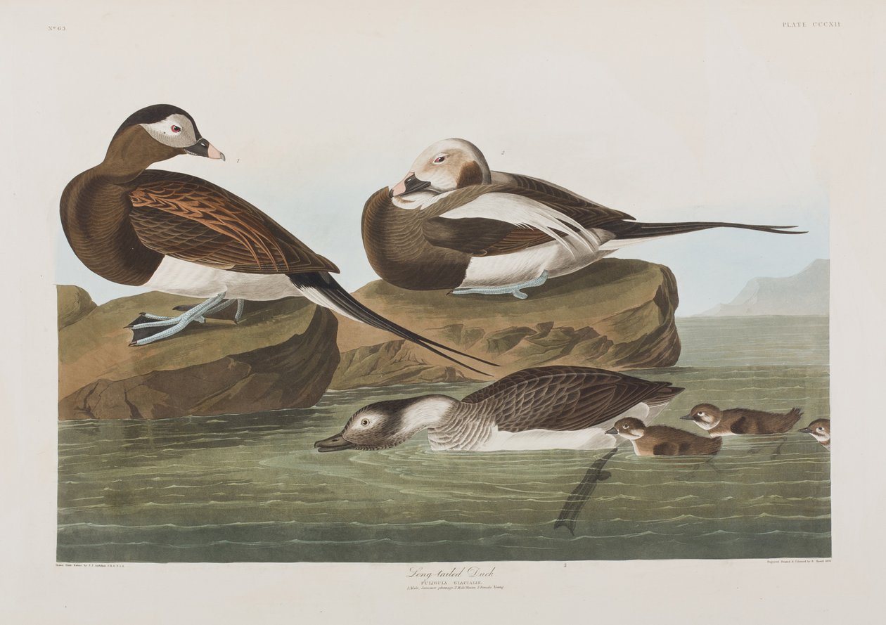 Ilustración de 