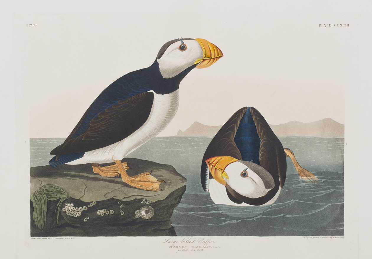 Ilustración de 