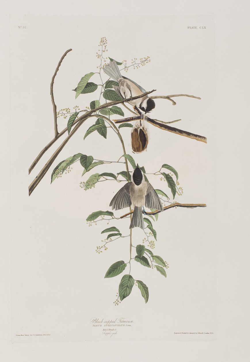 Ilustración de 