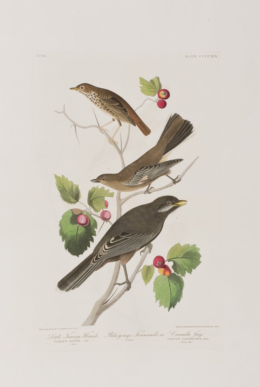 Ilustración de 