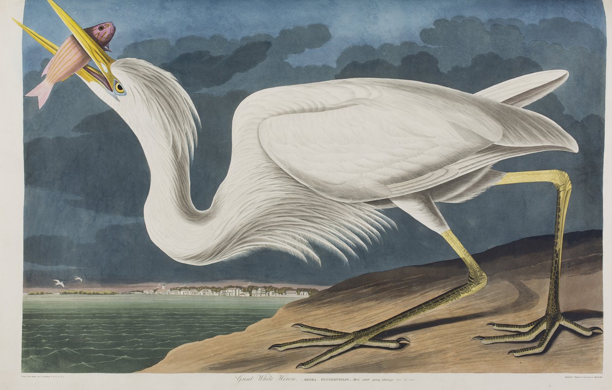 Ilustración de 