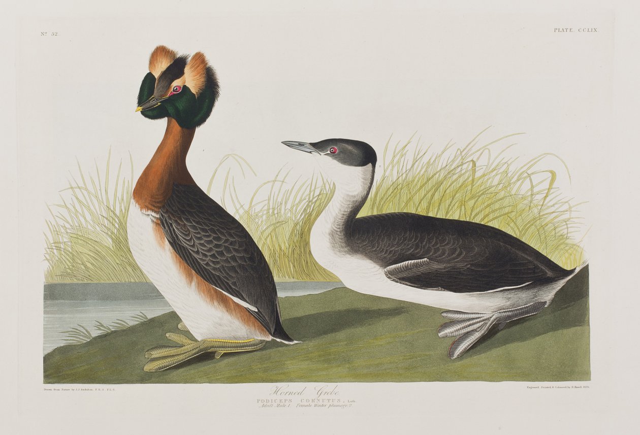 Ilustración de 