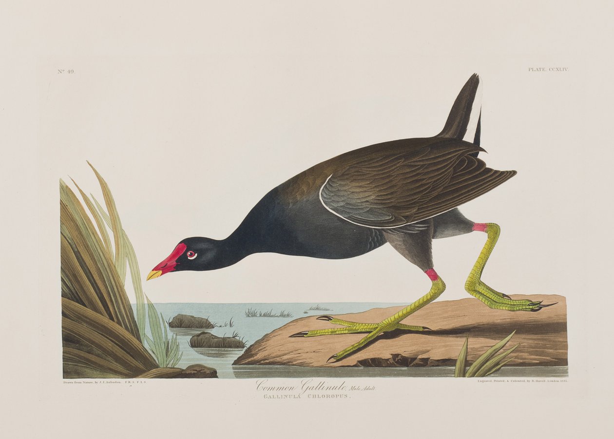 Ilustración de 