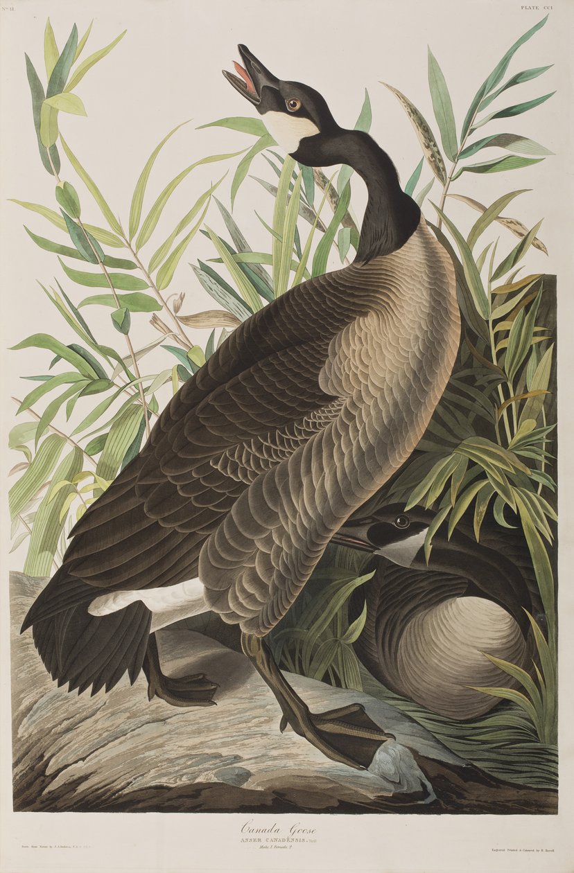 Ilustración de 