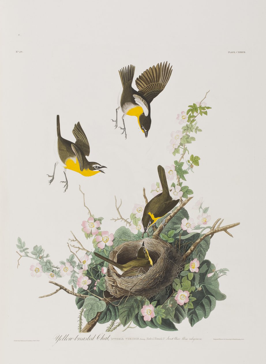 Ilustración de 